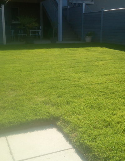 Engazonnement professionnel et création de pelouse à Avenches et environs par Mémoires d'Arbres