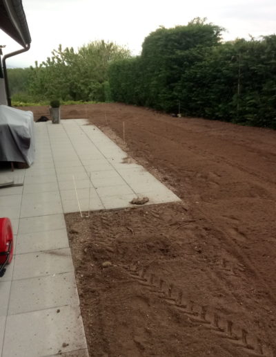 Engazonnement professionnel et création de pelouse à Avenches et environs par Mémoires d'Arbres