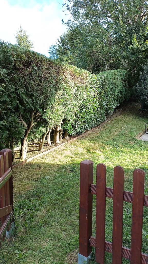 Entretien Entretien de jardin à Saint-Sulpice