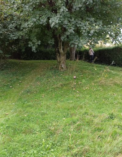 Entretien complet de jardin, tonte de pelouse et taille de haies à Estavayer-le-Lac