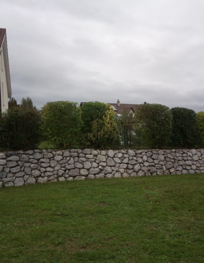 Entretien complet de jardin, tonte de pelouse et taille de haies à Estavayer-le-Lac