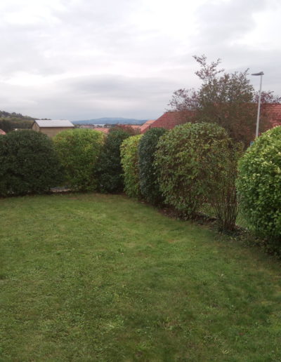 Entretien complet de jardin, tonte de pelouse et taille de haies à Estavayer-le-Lac