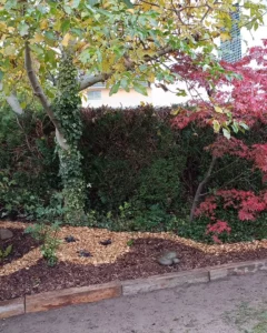 Massif floral à Grolley