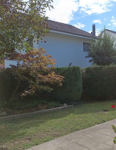 Desherbage et nettoyage apres