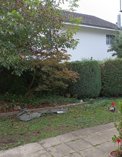 Desherbage et nettoyage avant