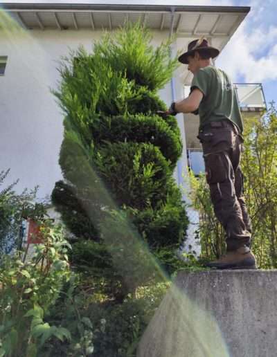 Gartenpflege und Gestaltung durch Mémoires d'Arbres, Ihren Landschaftsgärtner in der Westschweiz