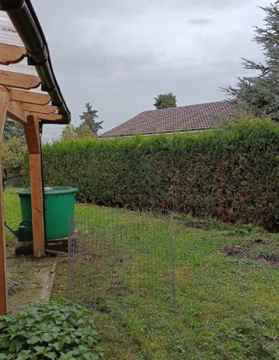 Taille de haie haute pendant 3