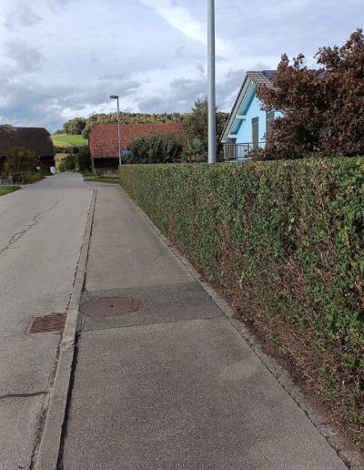 Taille et nettoyage bord de route apres 2