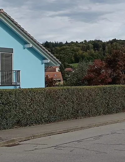 Taille et nettoyage bord de route apres eloigne e1728751664756