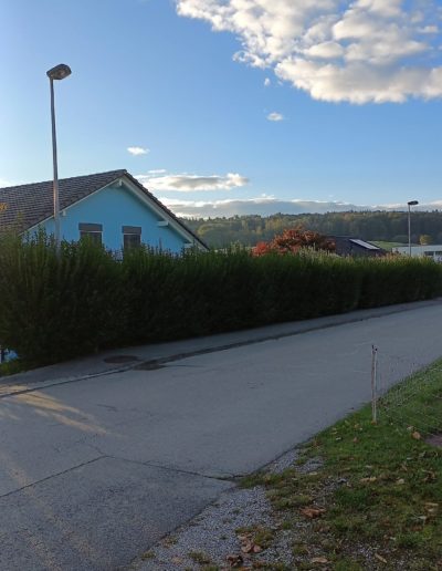 Taille et nettoyage bord de route avant 2