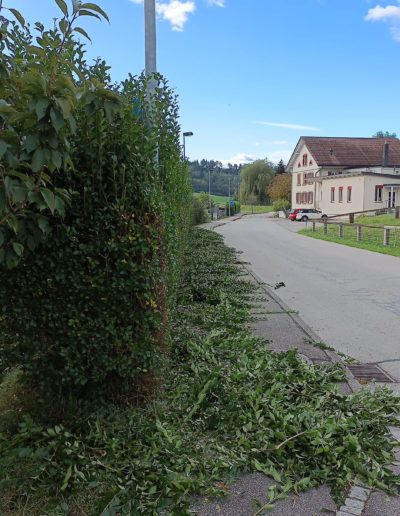 Taille et nettoyage bord de route pendant