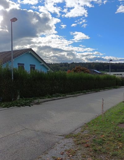 Taille et nettoyage bord de route pendant eloigne