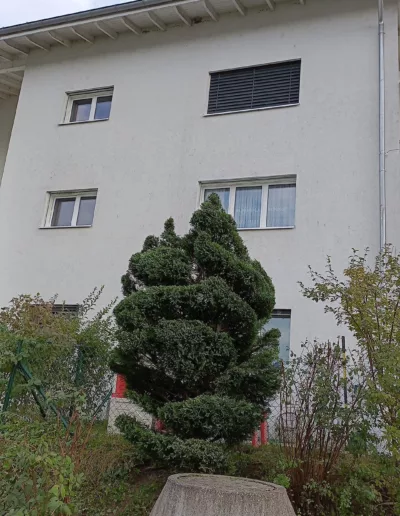 Taille topiaire jardin paysager Avenches