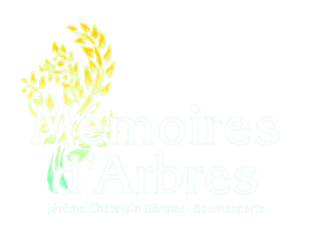 Logo von Mémoires d'Arbres