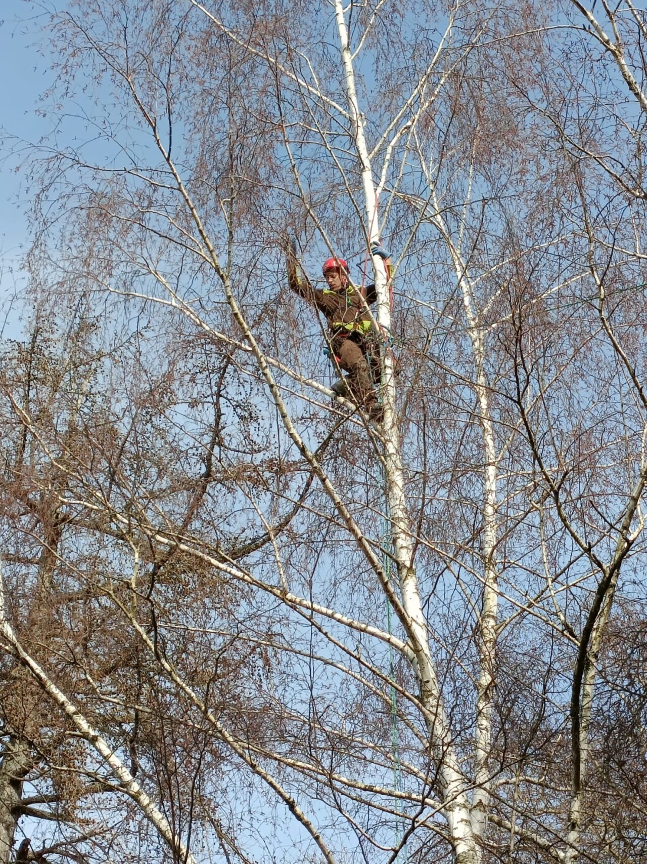Notre équipe pour vous satisfaire.