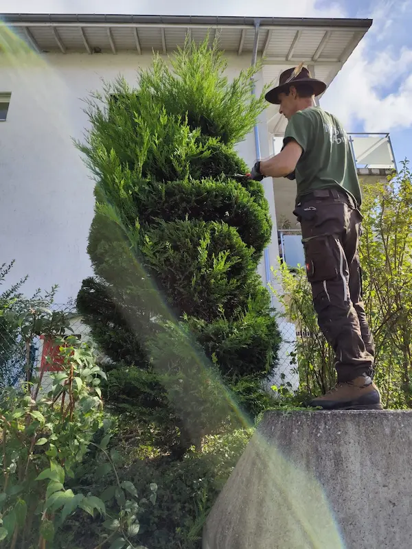 Entretien et création d’espaces verts par Mémoires d’Arbres, votre paysagiste en Suisse romande.