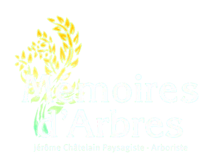 Logo de Mémoires d’Arbres